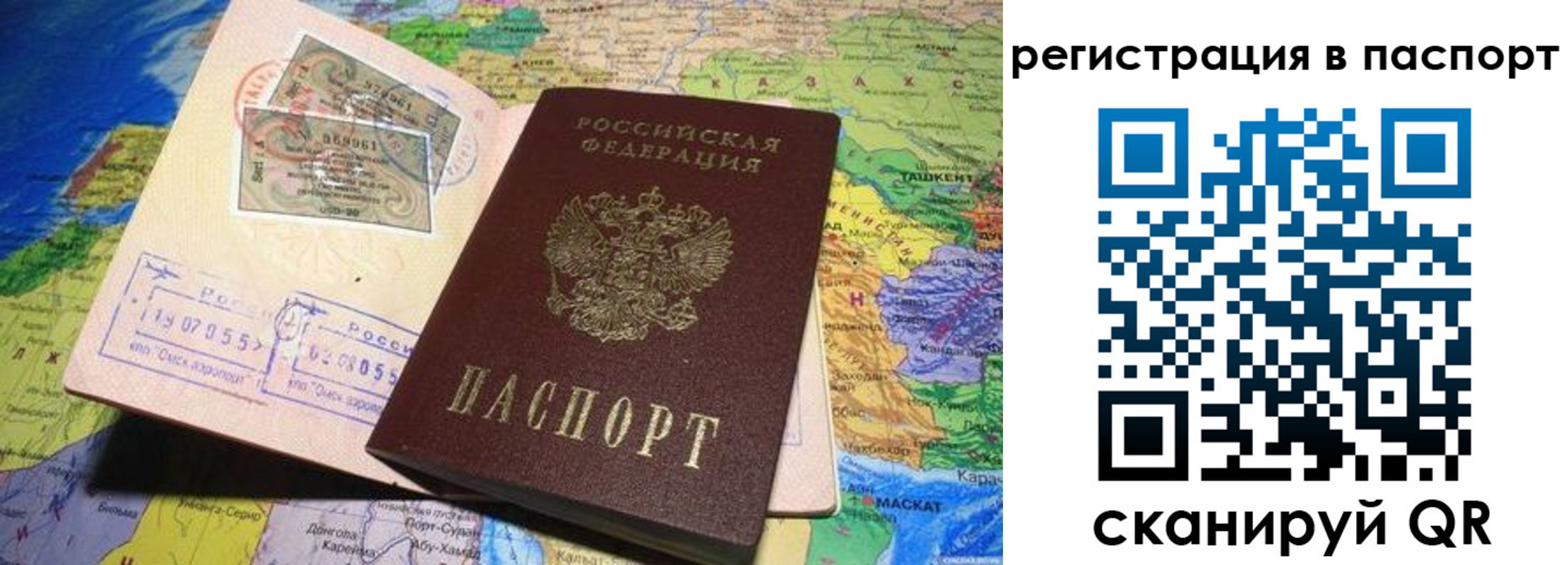 прописка гарантия в Ермолино